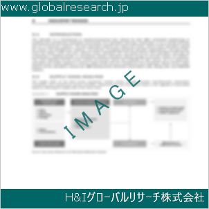 グローバルリサーチ調査資料のイメージ